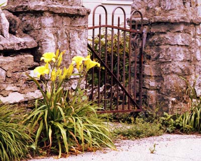Iron Gate.jpg